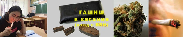 тгк Алзамай
