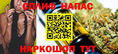СК Гуково