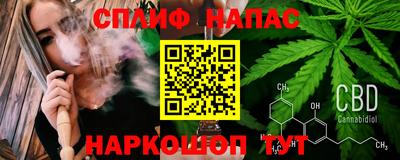 СК Гуково