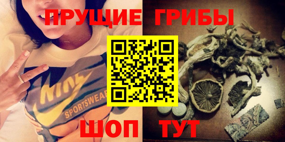 Галлюциногенные грибы Psilocybine cubensis Геленджик